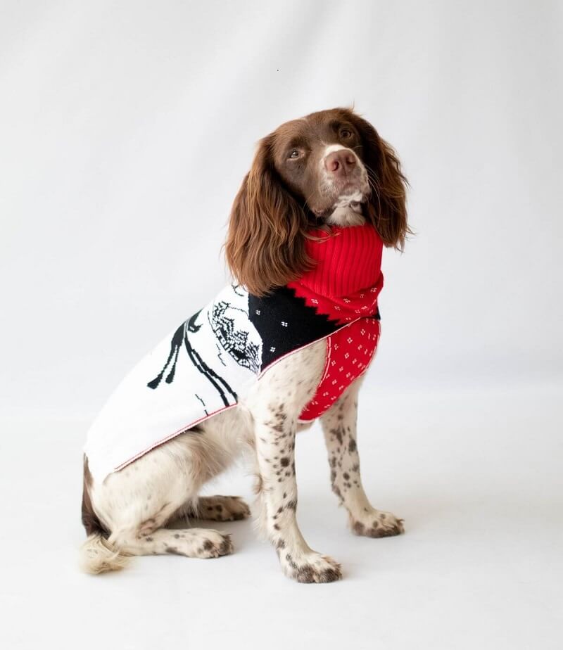Manufacturer of Knitted Exclusive Dog Jumpers JM Knitwear