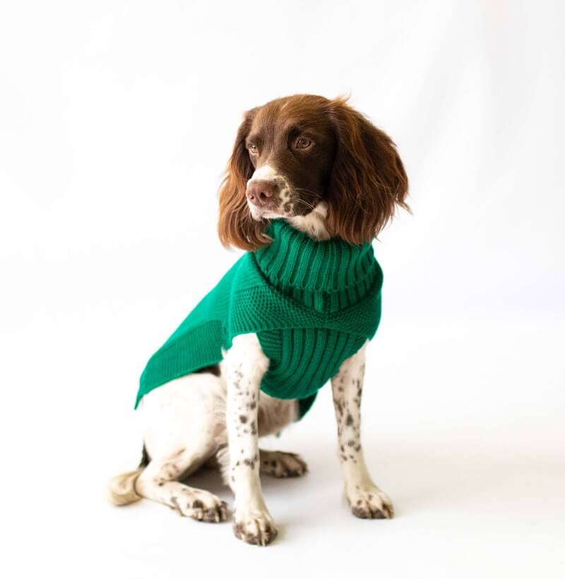 Manufacturer of Knitted Exclusive Dog Jumpers - JM Knitwear