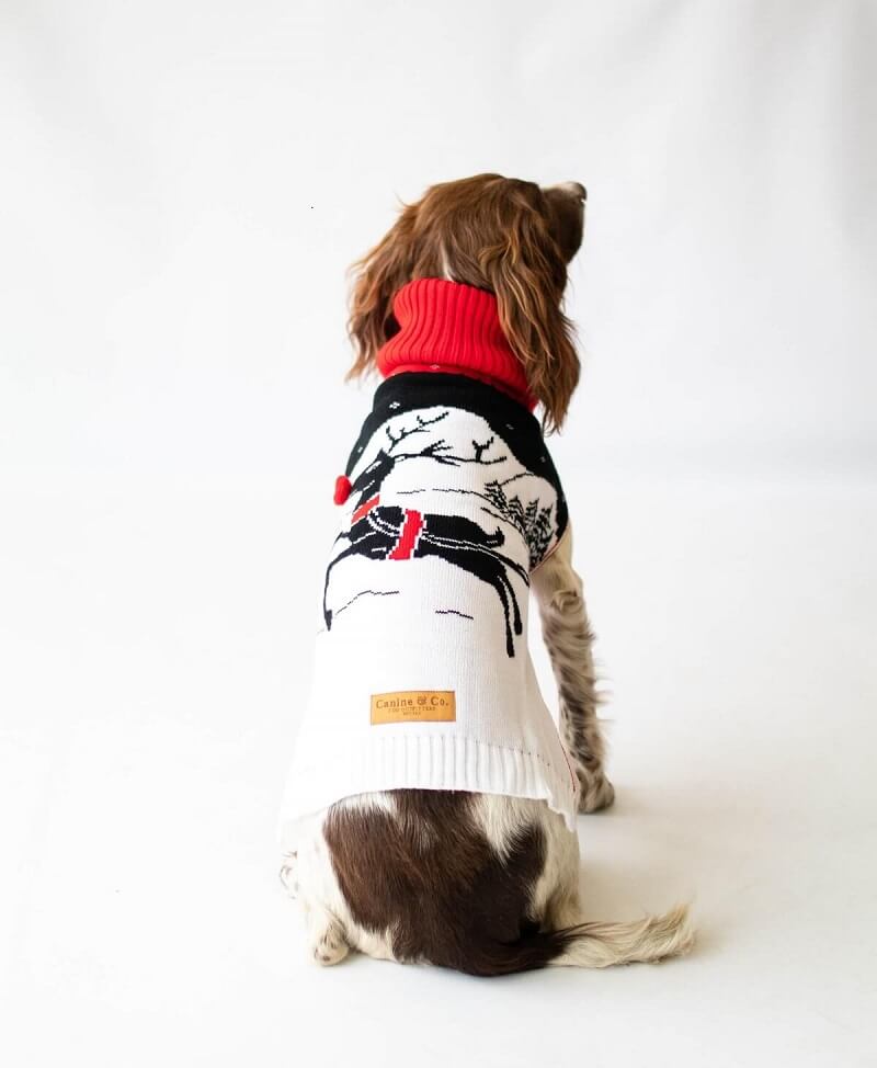 Manufacturer of Knitted Exclusive Dog Jumpers JM Knitwear